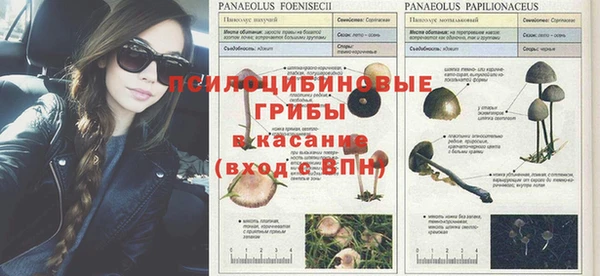 ECSTASY Армянск
