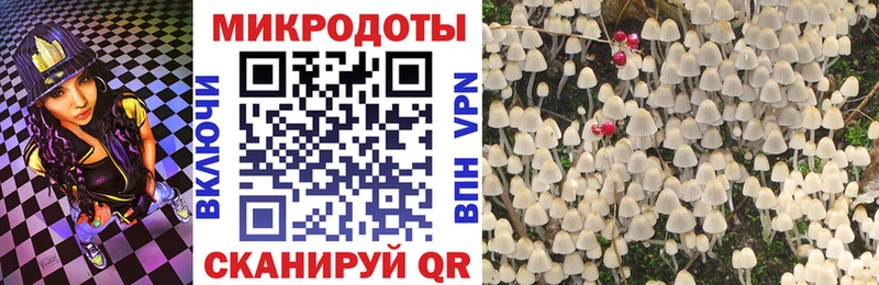 Псилоцибиновые грибы Psilocybe  Первомайск 